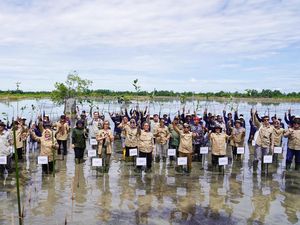 Rehabilitasi Mangrove Seluas 344 Hektare di Kaltara Libatkan Bank Dunia