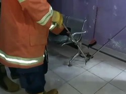 Ngeri, Ular Kobra Masuk ke Klinik Kecantikan di Gresik