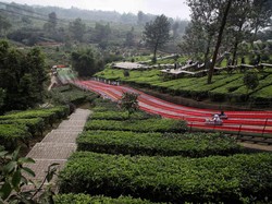 Ini Spot Menginap yang Disebut Paling Dingin di Puncak Bogor