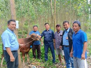 Semarak Idul Adha di Sinar Mas, Berbagi Sambil Bersilaturahmi