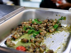 Olahan Pangan Serangga jadi Solusi Atasi Kelaparan di Afrika