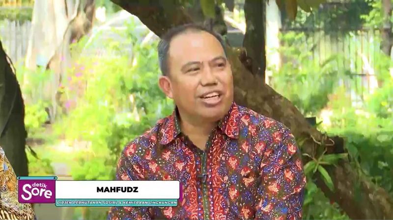 KLHK Puji Langkah Jokowi Berikan Hak Kelola Hutan ke Masyarakat