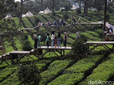 Libur Telah Tiba, Yuk Santai Sejenak di Agrowisata Gunung Mas