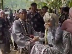 Viral Pengantin di Temanggung Diarak Pakai Gerobak Kencana Viral Pengantin di Temanggung Diarak Pakai Gerobak Kencana