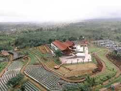 Ada Ragam Event di Agrowisata Tamansuruh Banyuwangi Pekan Ini, Apa Saja?