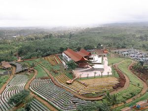 Ada Ragam Event di Agrowisata Tamansuruh Banyuwangi Pekan Ini, Apa Saja? Ada Ragam Event di Agrowisata Tamansuruh Banyuwangi Pekan Ini, Apa Saja?