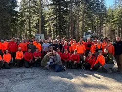 Bocah 4 Tahun Hilang 24 Jam di Hutan Habitat Beruang-Kucing Besar