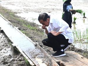 Jokowi Jamin Bantuan Pangan Sampai Desember 2024, Berasnya Premium