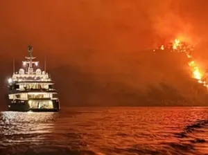 Duh, gegara Kembang Api dari Kapal Pesiar Hutan di Pulau Ini Terbakar