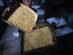 Bapanas Sebut Efek Dolar AS Ngamuk ke Kedelai Baru Terasa 2 Bulan Lagi