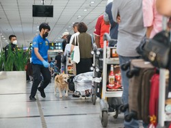 Hari Anti Narkotika, Ini Langkah Preventif dan Kolaboratif Bea Cukai