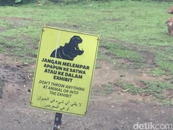 Kenapa Pedagang Diperbolehkan Menjual Pakan Satwa di Sekitar Taman Safari?