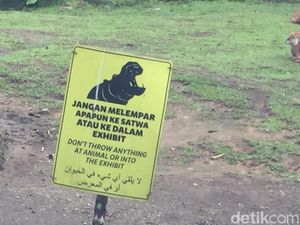 Kenapa Pedagang Diperbolehkan Menjual Pakan Satwa di Sekitar Taman Safari? Kenapa Pedagang Diperbolehkan Menjual Pakan Satwa di Sekitar Taman Safari?
