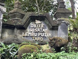 Mengenal Daya Tarik Wisata Desa Taro Gianyar