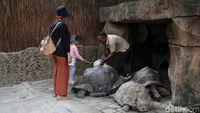 Liburan dan Berinteraksi dengan Berbagai Hewan di Faunaland Ancol