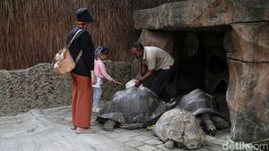 Liburan dan Berinteraksi dengan Berbagai Hewan di Faunaland Ancol