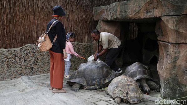 Liburan dan Berinteraksi dengan Berbagai Hewan di Faunaland Ancol