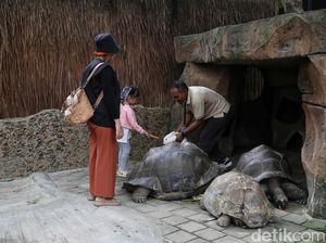 Liburan dan Berinteraksi dengan Berbagai Hewan di Faunaland Ancol