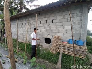 8 Kambing Milik Peternak Dukun Magelang Digondol Maling 8 Kambing Milik Peternak Dukun Magelang Digondol Maling