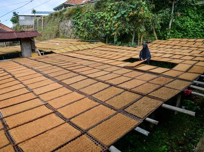 Penerimaan Cukai Hasil Tembakau Menurun 6,6 Persen
