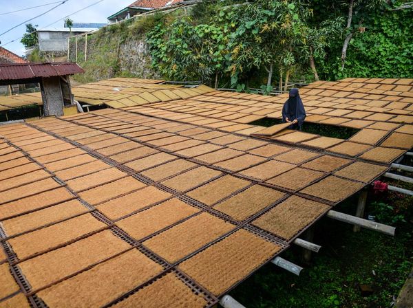 Penerimaan Cukai Hasil Tembakau Menurun 6,6 Persen