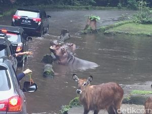 Taman Safari Larang Penggunaan Kantong Plastik