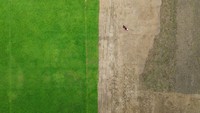 Proses renovasi termasuk mengganti rumput dengan rumput jenis Zoysia Matrella yang langsung dikerjakan oleh ahli rumput Supomo Hariyadi dan tim. 