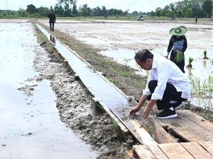 Bikin Pompa Air buat Sawah, Jokowi Mau Petani Bisa Panen 3 Kali!