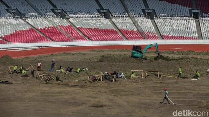 Revitalisasi Rumput SUGBK Dimulai Revitalisasi Rumput SUGBK Dimulai