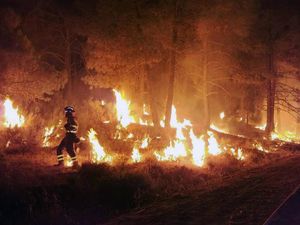Siapkah Uni Eropa Hadapi Musim Api?