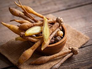 6 Manfaat Temu Kunci, Bahan Alami yang Punya Segudang Khasiat untuk Kesehatan 6 Manfaat Temu Kunci, Bahan Alami yang Punya Segudang Khasiat untuk Kesehatan