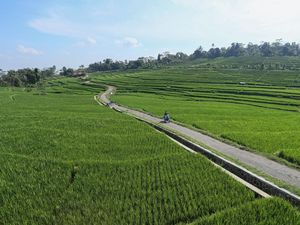 Belajar Agrowisata Tani Organik di Majalengka Belajar Agrowisata Tani Organik di Majalengka