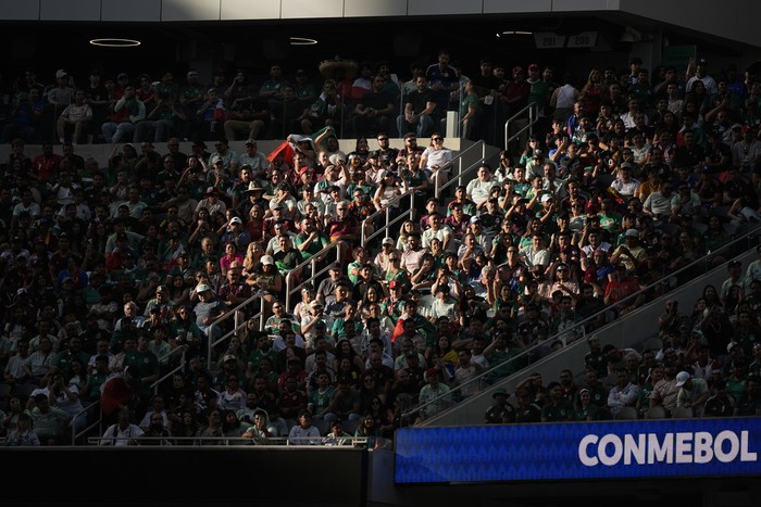Fans watch a Copa America Group B soccer match between Venezuela and Mexico, Wednesday, June 26, 2024, in Inglewood, Calif. (AP Photo/Ryan Sun)