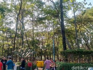 Di Tengah Jakarta Utara yang Terik, Ada Kesejukan Hutan Kota Penjaringan Di Tengah Jakarta Utara yang Terik, Ada Kesejukan Hutan Kota Penjaringan