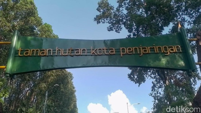 Ruang terbuka hijau sangat jadi tempat yang begitu nyaman, tentunya bagi warga sekitar. Selain sebagai tempat bermain, ruang terbuka hijau untuk mampu memberikan pengaruh yang baik dari sisi memberikan kesejukan di tengah Jakarta yang panas.