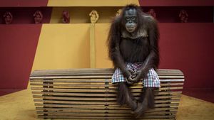 Karya Powerful Jawara Kontes Fotografi Lingkungan 2024, Ada Indonesia