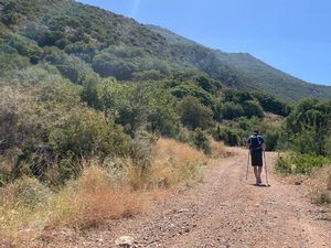 Gelombang Panas di Yunani Renggut Lebih Banyak Nyawa Wisatawan