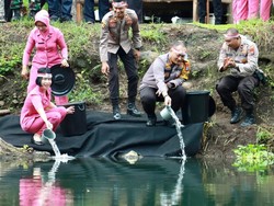 Ribuan Benih Ikan Ditabur di Kolam Jagong Banyuwangi Sambut Hari Bhayangkara