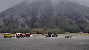 Kebakaran di Gunung Bromo Padam, Begini Dampaknya