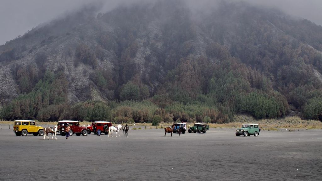 Kebakaran di Gunung Bromo Padam, Begini Dampaknya Kebakaran di Gunung Bromo Padam, Begini Dampaknya