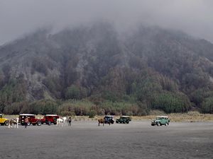 Kebakaran di Gunung Bromo Padam, Begini Dampaknya Kebakaran di Gunung Bromo Padam, Begini Dampaknya