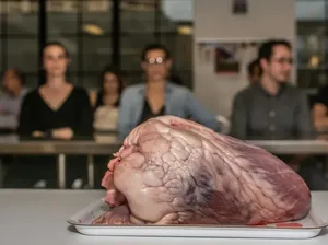 Penasaran dengan Cadaver, Dokter Ini Bikin Sesi Makan Khusus Jeroan Penasaran dengan Cadaver, Dokter Ini Bikin Sesi Makan Khusus Jeroan