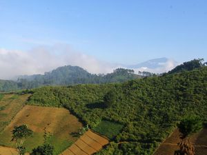 Mengenal Upacara Karo Suku Tengger