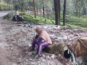 5 Fakta Terkini Kios di Puncak Bogor Dibongkar Bikin Satpol PP Terluka