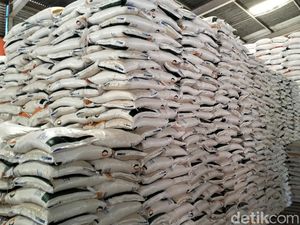 Ombudsman Minta Penyaluran Bantuan Pangan Langsung di Desa