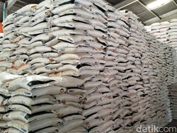 Ombudsman Minta Penyaluran Bantuan Pangan Langsung di Desa