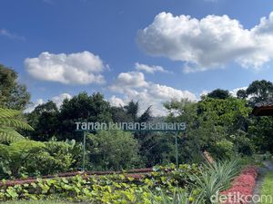 Pembeda Desa Wisata Taro: Konservasi Kunang-Kunang Pembeda Desa Wisata Taro: Konservasi Kunang-Kunang