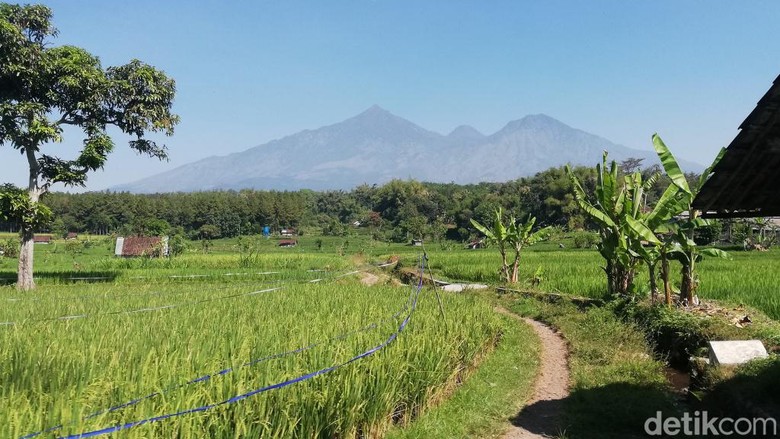 Gunung Arjuno-Welirang Ditutup Total, Ada 3 Titik Api yang Terdeteksi