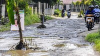 Protes Jalan Rusak, Warga Pandeglang Tanam Pohon Pisang