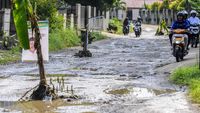 Protes Jalan Rusak, Warga Pandeglang Tanam Pohon Pisang